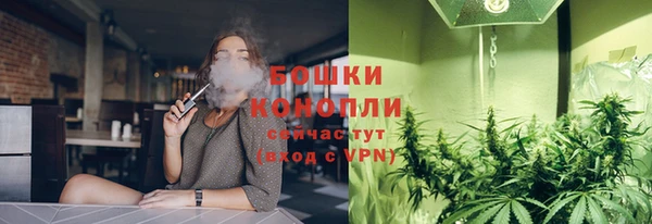 кокс Арсеньев