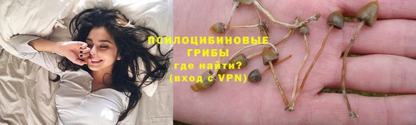 кокс Арсеньев