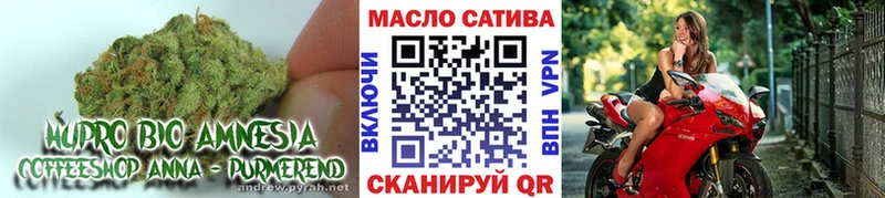 ссылка на мегу   Медногорск  Дистиллят ТГК концентрат 