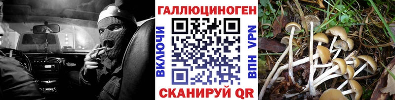 Псилоцибиновые грибы MAGIC MUSHROOMS  Медногорск 